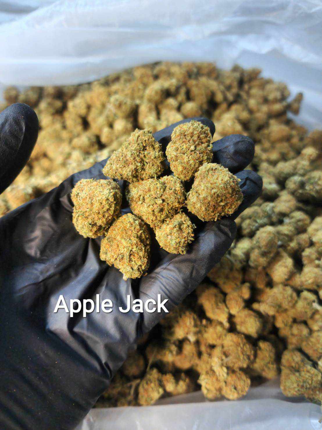 Apple Jack