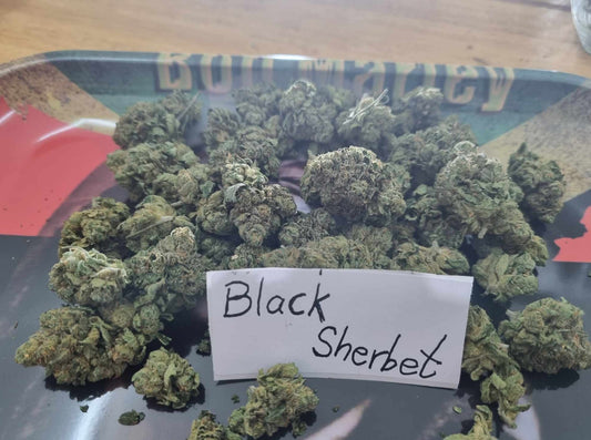 Black Sherbet, AAA Grade!