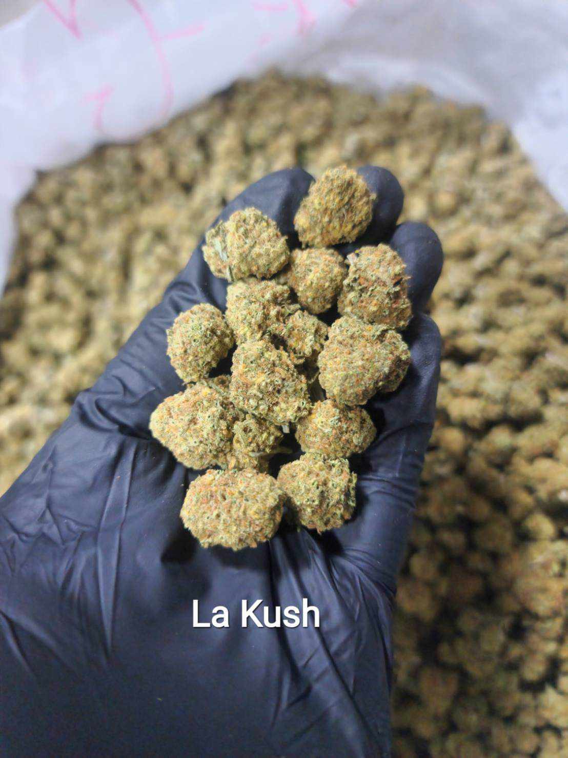 La Kush