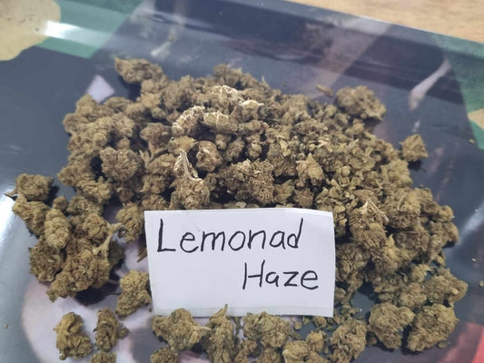 Lemonad Haze