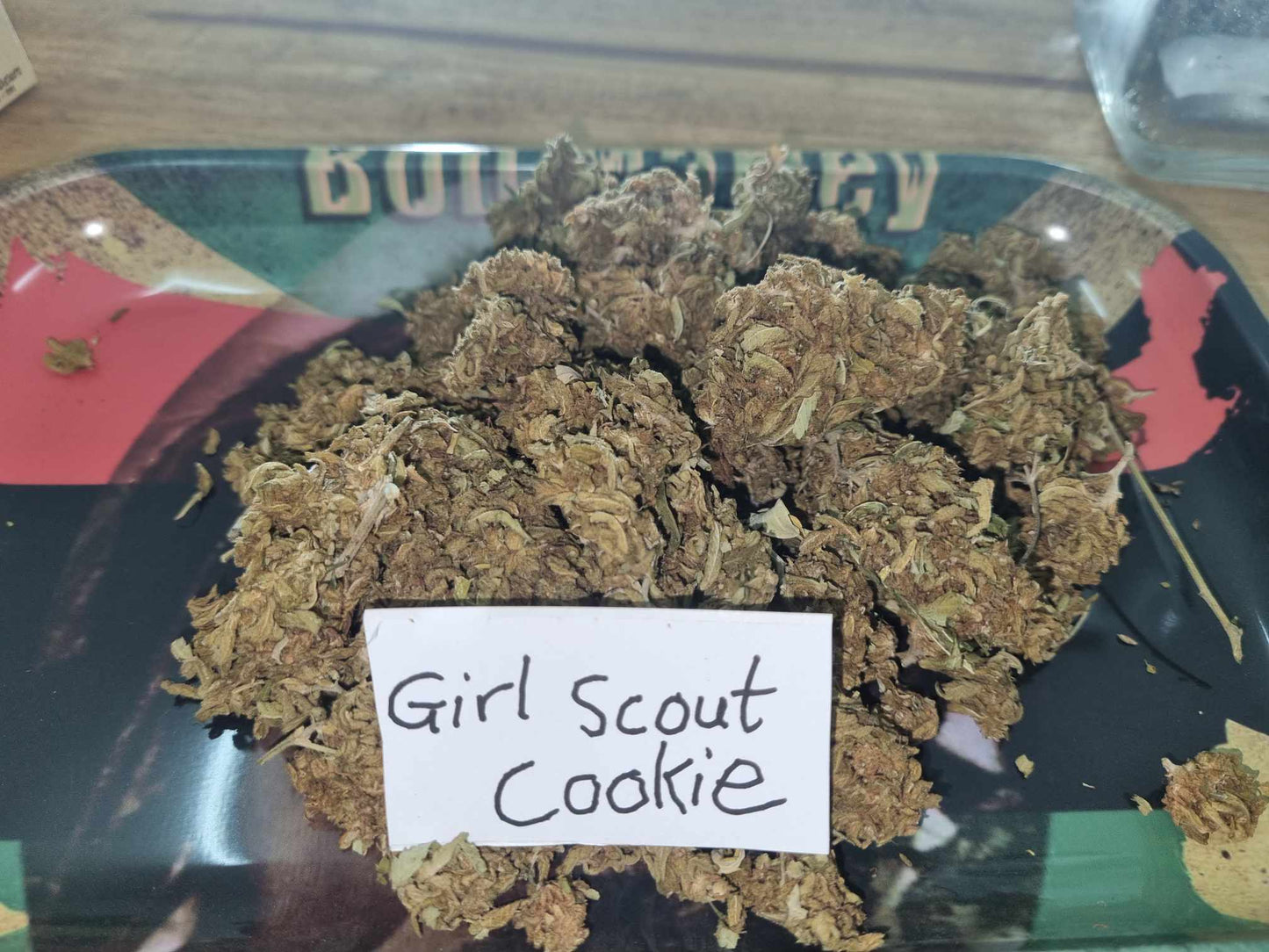 Girl Scout Cookie, GSC (Outdoor)